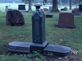 Archers Woods Cemetery, Chicago