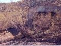 Courtland Ghost Town, Arizona