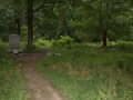 Bachelors Grove Cemetery, Illinois