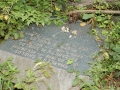 Bachelors Grove Cemetery, Illinois