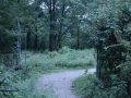 Haunted Bachelors Grove Cemetery, Illinois