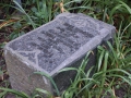 Haunted Bachelors Grove Cemetery, Illinois