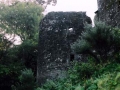 Berry Pomeroy Castle, Devon