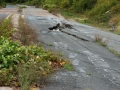 Centralia, Pennsylvania