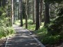 Donner Pass, California, U.S.A