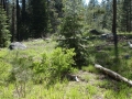 Donner Pass, California, U.S.A