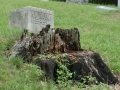 Greenwood Cemetery in Decatur, Illinois