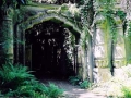 Haunted Highgate Cemetery, London