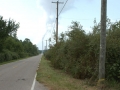 The Mothman, Point Pleasant, West-Virginia