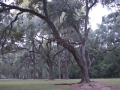 The Haunted Myrtles Plantation, Louisiana