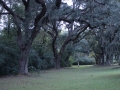 The Myrtles Plantation, Louisiana