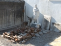 St Louis cemetery no 1, New Orleans