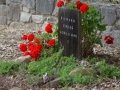 Nordhoff Cemetery, Ojai, California