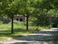 Pilgrim State Asylum, Long Island, New York