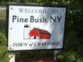 Pinebush UFOs, New York State