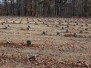 Potters Field, New York State, U.S.A