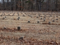 Potters Field Cemetery, Yaphank, New York