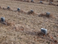 Potters Field Cemetery, Yaphank, New York