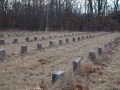 Potters Field Cemetery, Yaphank, New York