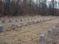 Potters Field Cemetery, Yaphank, New York