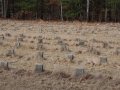 Potters Field Cemetery, Yaphank, New York