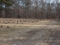 Potters Field Cemetery, Yaphank, New York