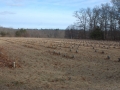 Haunted Potters Field Cemetery, Yaphank, New York