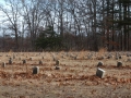 Potters Field Cemetery, Yaphank, New York