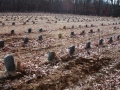 Potters Field Cemetery, Yaphank, New York