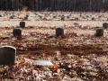 Potters Field Cemetery, Yaphank, New York