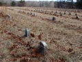 Potters Field Cemetery, Yaphank, New York