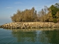 Haunted Poveglia Island, Venice, Italy