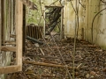 Poveglia Island, Venice, Italy