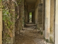 Poveglia Island, Venice, Italy