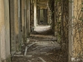 Poveglia Island, Venice, Italy