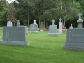 Resurrection Cemetery, Illinois