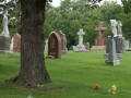 Resurrection Cemetery, Illinois