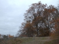 Gallows Hill, Salem, Massachusetts