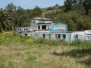 Scary Dairy, California, U.S.A