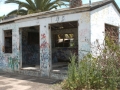 Scary Dairy, California