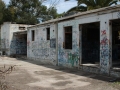 Scary Dairy, California