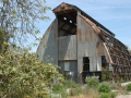 Scary Dairy, California