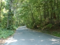 Haunted Sweet Hollow Rd, New York State