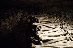 The Paris Catacombs