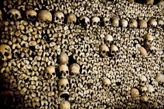 The Paris Catacombs