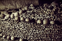 The Paris Catacombs