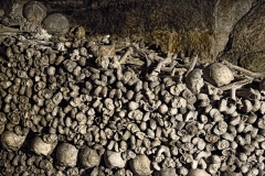 The Paris Catacombs