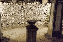 The Paris Catacombs