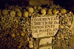 The Paris Catacombs