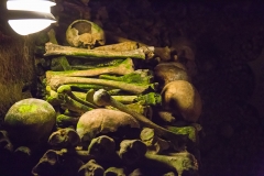 The Paris Catacombs